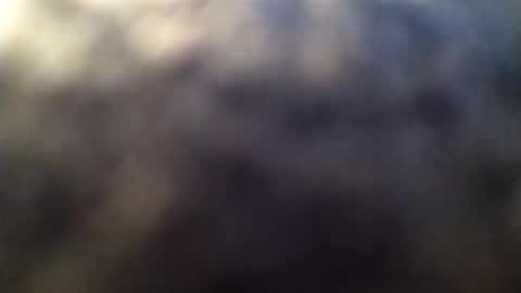 Snapshot of dannowisc chatting on 03/01/26, 02:02 dannowisc online show from 03/01/26, 02:02