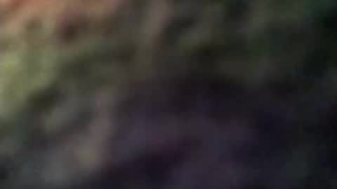 dannowisc online show from 04/08/26, 02:55