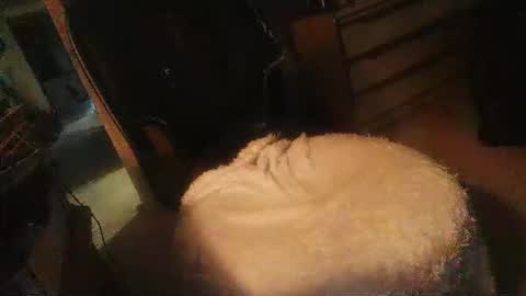 Snapshot of dannyb618 chatting on 04/16/26, 11:29 Danielle online show from 04/16/26, 11:29