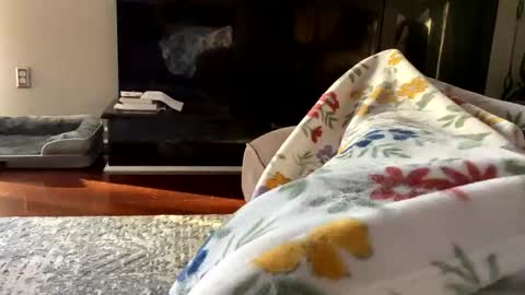 dannyboy621 online show from 10/26/25, 01:17