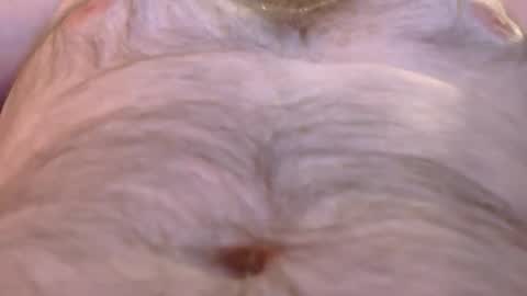 Master Dan online show from 03/26/26, 08:09