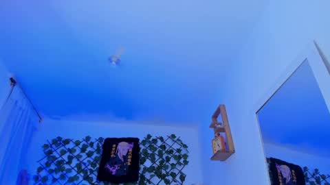 Snapshot of dante_cooper_0 chatting on 12/12/24, 08:14 dante_cooper_0 online show from 12/12/24, 08:14