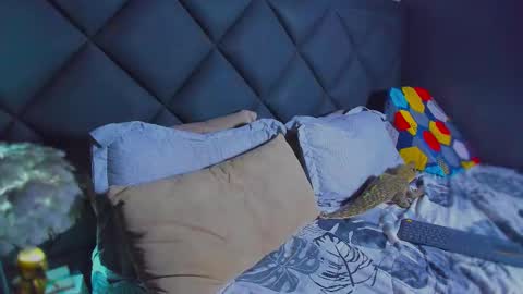 Snapshot of dany_dryy chatting on 01/17/26, 06:11 Dany online show from 01/17/26, 06:11