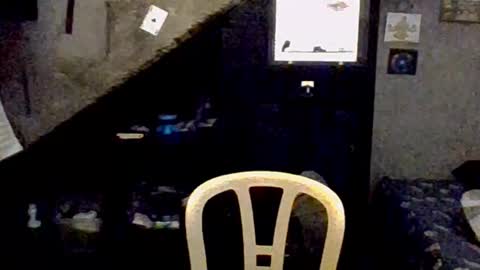 dany_kyng online show from 02/03/26, 02:53