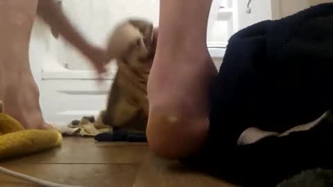 danydevil online show from 11/25/25, 04:56