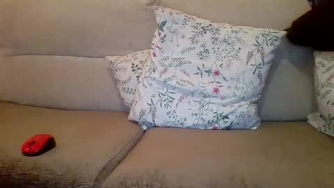 danydotado online show from 12/21/24, 07:38