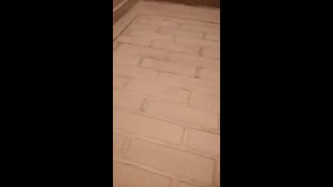 danzu online show from 03/16/26, 04:18