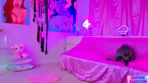 Snapshot of daphnemadison chatting on 02/10/26, 10:14 Daphne Madison online show from 02/10/26, 10:14