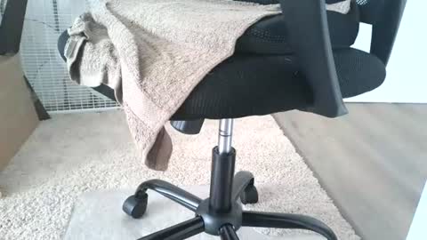 Snapshot of dapppper chatting on 06/13/26, 12:14 dapppper online show from 06/13/26, 12:14