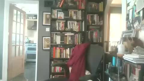 Darcy online show from 03/26/26, 03:17