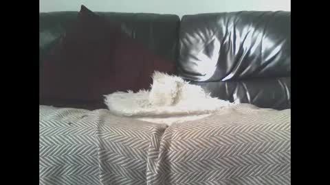 Snapshot of darealdondaddy chatting on 03/09/25, 11:58 DaRealDonDaddy online show from 03/09/25, 11:58