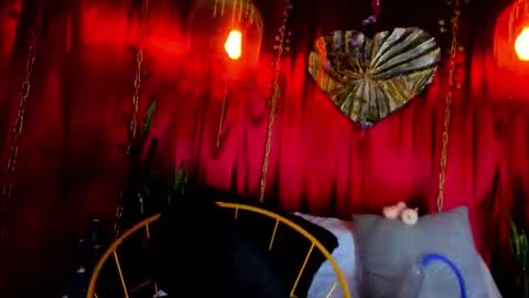 dark hunter  online show from 02/20/26, 06:26