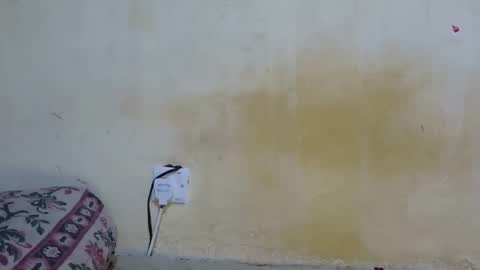 dark_princess1 online show from 10/08/25, 07:50