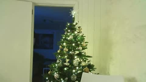 Dario online show from 12/25/24, 07:56