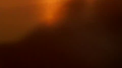 davdao3 online show from 12/22/25, 07:16