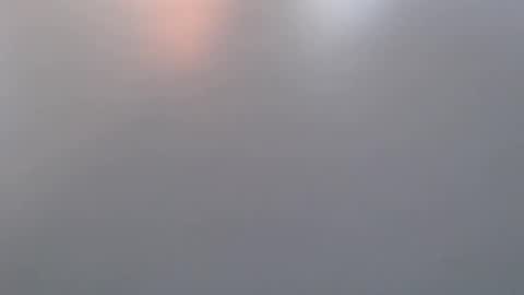 Snapshot of davdao3 chatting on 03/19/26, 07:01 davdao3 online show from 03/19/26, 07:01