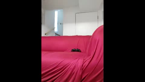 dave3891 online show from 02/13/26, 01:18