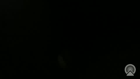 daveeveline online show from 11/11/25, 12:38