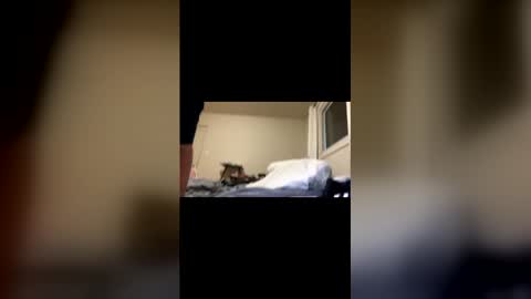 Exhibit A online show from 02/22/26, 11:20