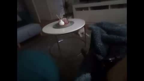 Snapshot of davf76 chatting on 02/19/26, 08:10 davf76 online show from 02/19/26, 08:10