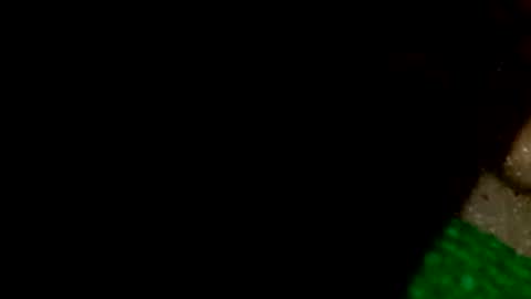 Snapshot of david1982yesyes chatting on 04/16/26, 12:39 david1982yesyes online show from 04/16/26, 12:39