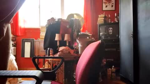 david_argentina online show from 10/28/25, 07:38