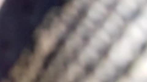 Snapshot of david_stone1969 chatting on 01/23/25, 01:56 david_stone1969 online show from 01/23/25, 01:56