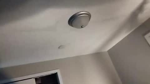 Snapshot of david_stone1969 chatting on 01/25/25, 04:46 david_stone1969 online show from 01/25/25, 04:46