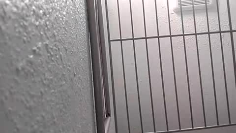 Snapshot of david_stone1969 chatting on 01/25/25, 08:10 david_stone1969 online show from 01/25/25, 08:10