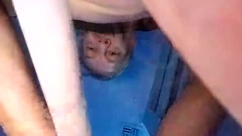 Snapshot of david_stone1969 chatting on 03/08/25, 03:13 david_stone1969 online show from 03/08/25, 03:13