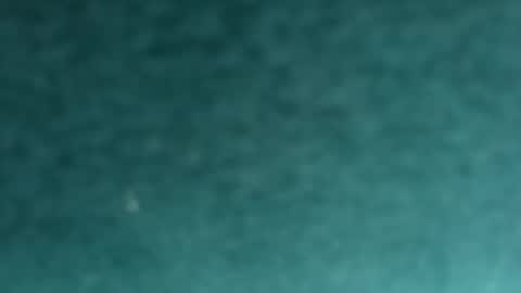 davidf75 online show from 11/12/25, 09:42