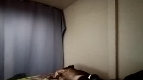 Juice cock online show from 12/11/24, 04:18