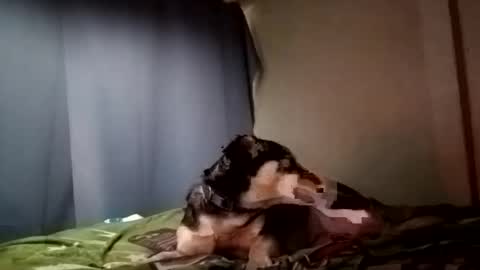 Juice cock online show from 12/29/24, 09:30