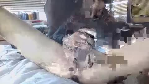 Your daddy online show from 09/30/25, 06:35