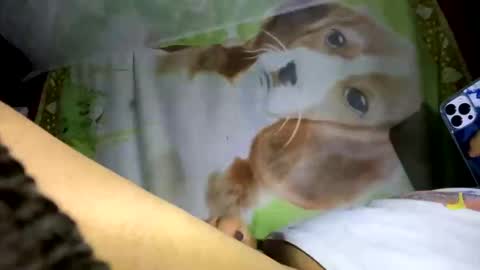 Snapshot of davzsoher chatting on 01/10/25, 02:04 davzsoher online show from 01/10/25, 02:04