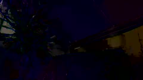 dayblue online show from 03/01/26, 09:33