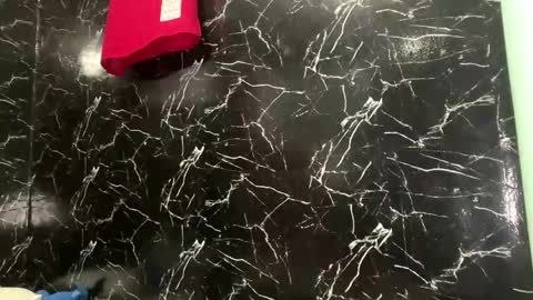 Snapshot of daylebellman chatting on 04/12/26, 03:50 May online show from 04/12/26, 03:50