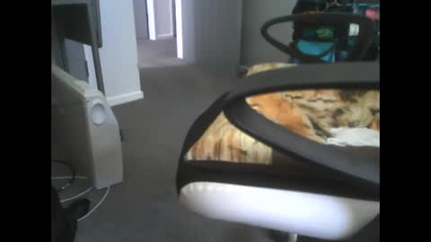 Snapshot of dazzle68 chatting on 03/14/26, 10:48 Dazzle68 online show from 03/14/26, 10:48