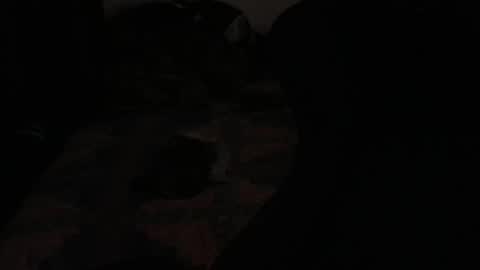 Snapshot of ddc444 chatting on 11/23/25, 02:22 DC online show from 11/23/25, 02:22