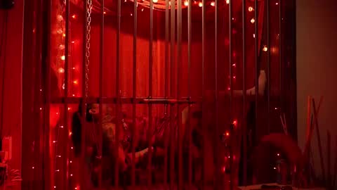 D Devours Kitty online show from 02/15/26, 05:37