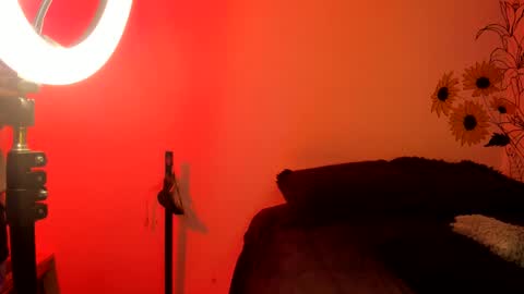 Snapshot of dear_venus chatting on 12/04/24, 02:31 venus adam online show from 12/04/24, 02:31