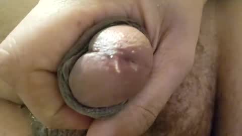 deathzamboni online show from 12/15/24, 02:16