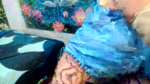 debrastephens online show from 05/29/26, 11:19