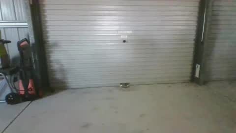 Snapshot of deepxox chatting on 10/12/25, 02:43 deepxox online show from 10/12/25, 02:43