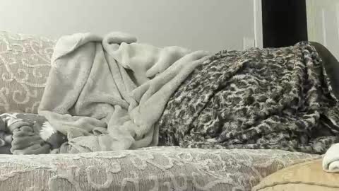 Snapshot of deeznutz343 chatting on 02/23/25, 04:17 Deez Nutz online show from 02/23/25, 04:17