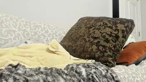 Snapshot of deeznutz343 chatting on 02/24/25, 05:33 Deez Nutz online show from 02/24/25, 05:33