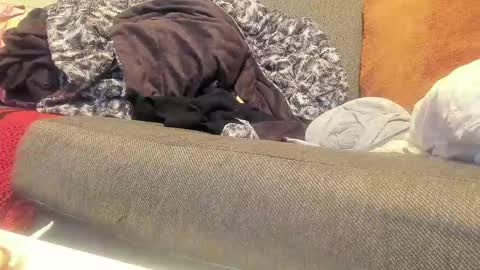 Snapshot of deeznutz343 chatting on 09/09/25, 01:38 Deez Nutz online show from 09/09/25, 01:38