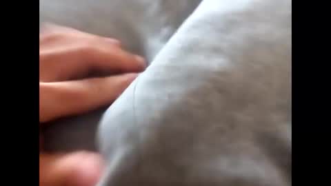 Snapshot of deliv_shopi chatting on 11/17/25, 01:50 deliv_shopi online show from 11/17/25, 01:50