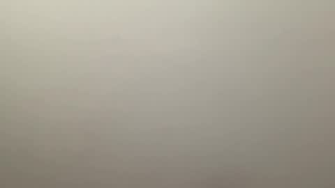 Delivery      online show from 01/04/25, 09:52