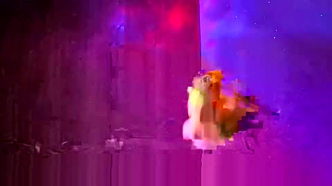 den2807 online show from 03/24/26, 12:15